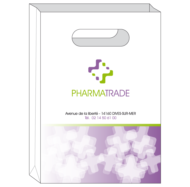 identité visuelle charte graphique sac poche